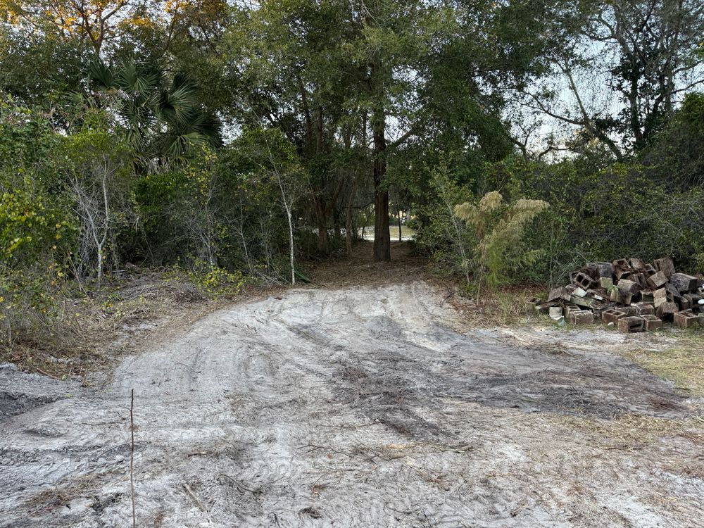 All Photos for Amerigrown Tree And Lawn in Apopka, FL