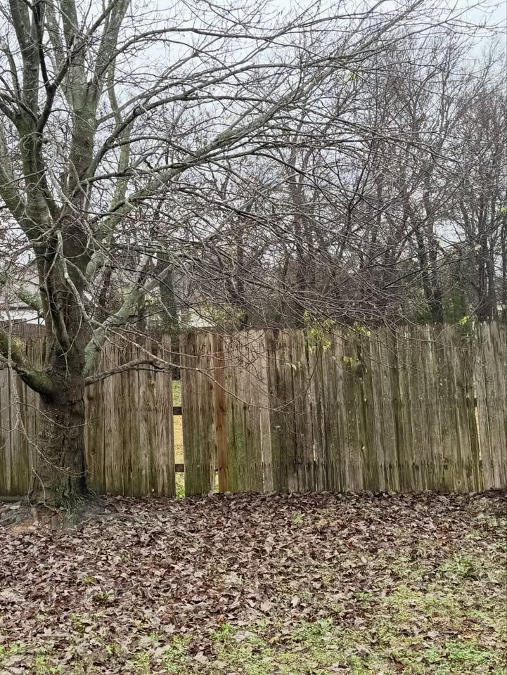 All Photos for Pure Outdoors LLC in Tulsa, OK