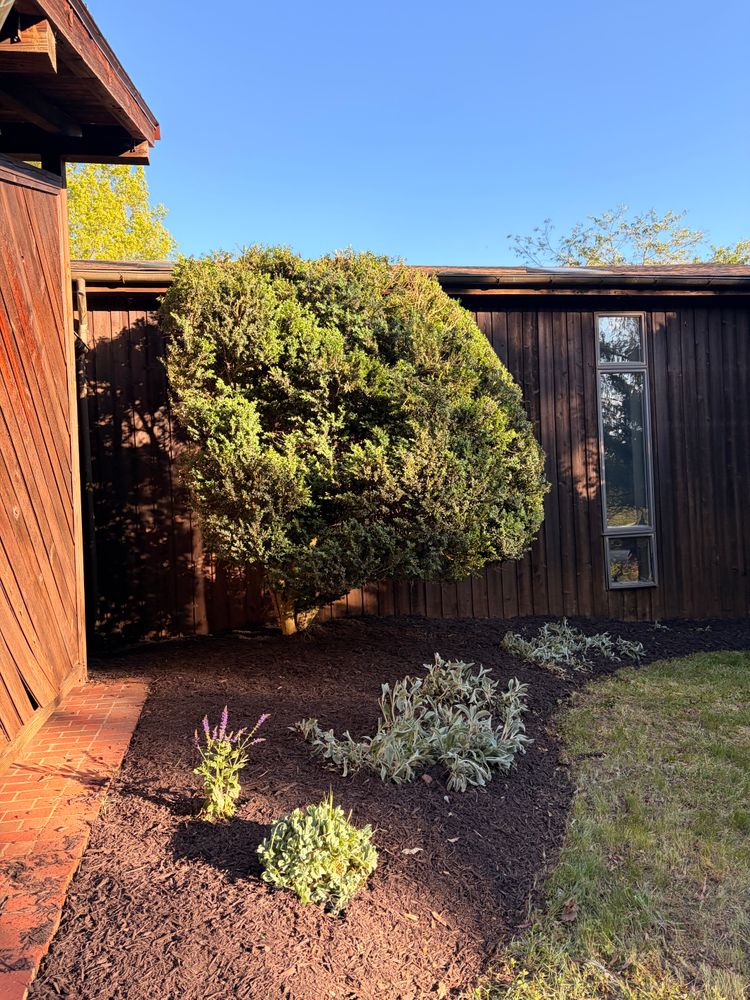 All Photos for Valencia’s Lawncare in Charlottesville, VA