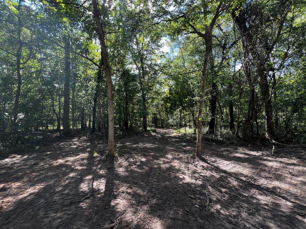 All Photos for Michael Way Acres in Woodlawn, TN