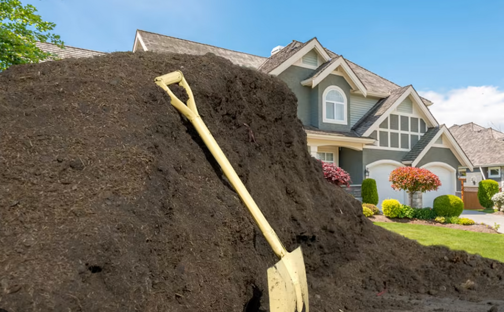 Enhance your new sod with our Top Soil Service, providing nutrient-rich soil to improve plant health and growth. Perfectly tailored for lawns, gardens, or landscape projects to ensure vibrant and sustainable greenery. for Powell Environmental Services in Deltona, FL