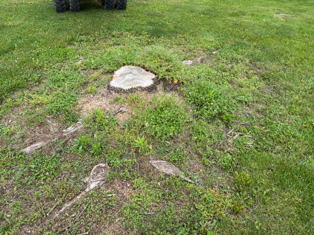 All Photos for Conrad's Stump Removal in Columbus, IN