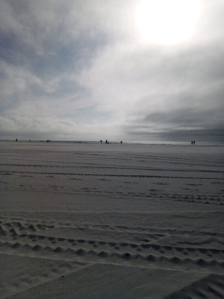 All Photos for Windspirit Land Services in Hillsborough County, FL