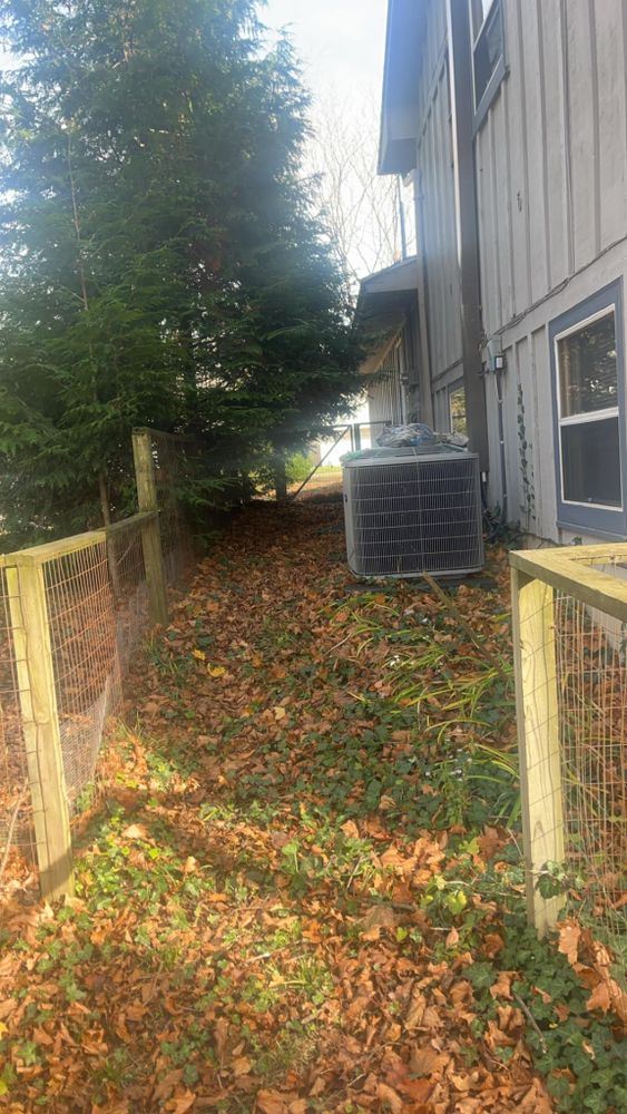 All Photos for Quick Removal Solutions in Lansing, MI