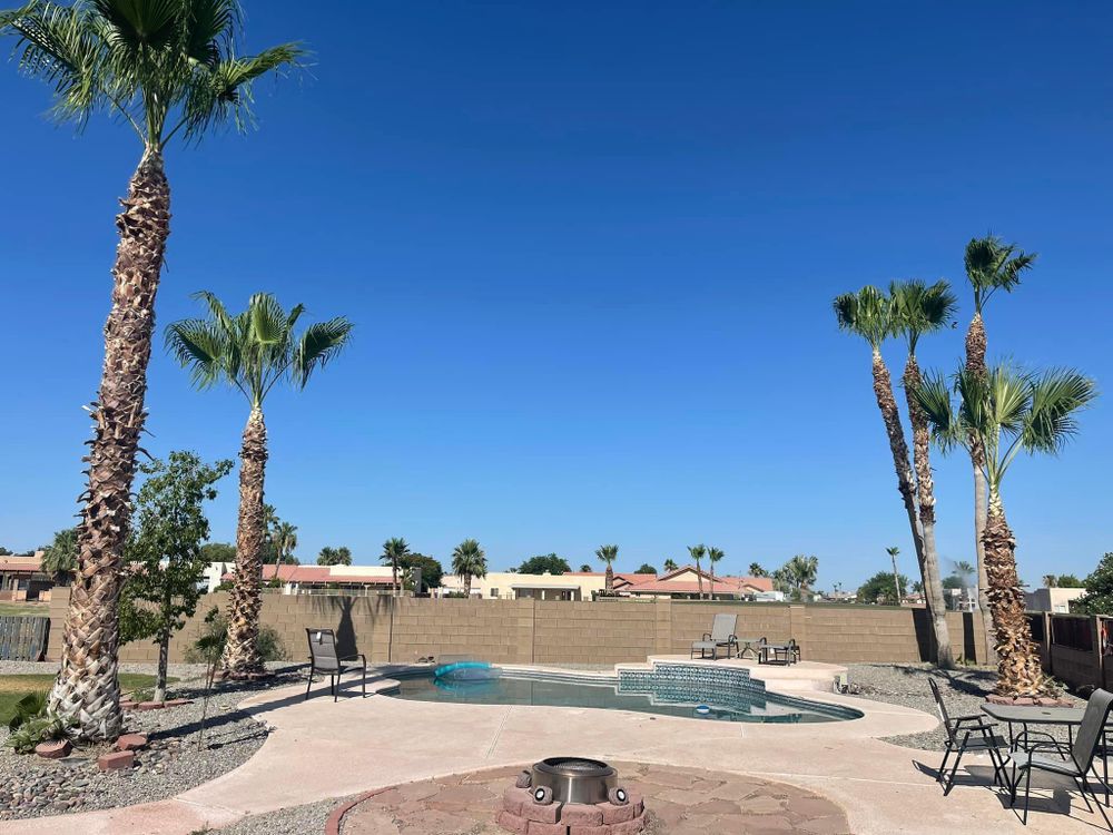 All Photos for Oliver L. Palm & Tree services in Yuma County, AZ