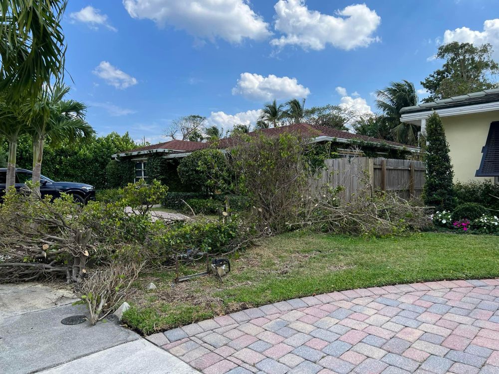 Tree Trimming and Removal for Rey Landscaping & Lawn service LLC in West Palm Beach,  FL