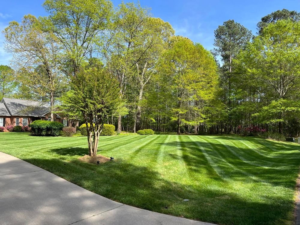 We offer professional shrub trimming services to keep your landscape looking neat and tidy. Our experienced team will ensure that the job is done right! for Reiser Lawn Service in Denver, North Carolina