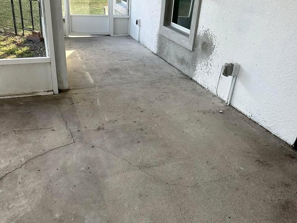 All Photos for Absolute Grey's LLC in Kissimmee, FL