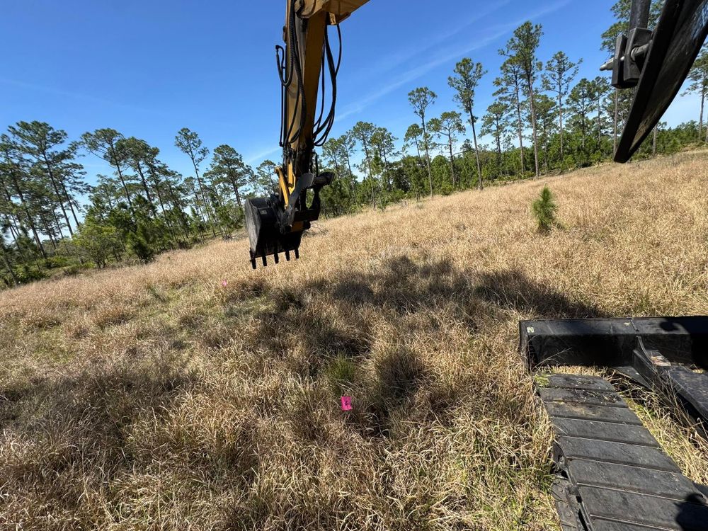 All Photos for Heverly Land Solutions in Winter Haven, FL