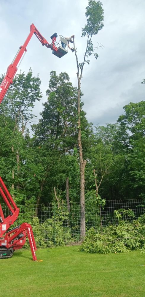 All Photos for Lawn Ranger Yard And Tree Service LLC in Ottumwa, IA