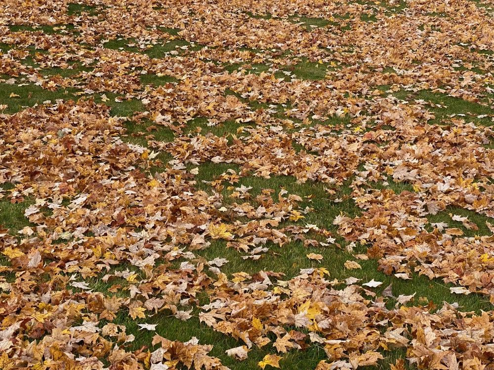 All Photos for JC Lawn Care and Landscaping in Athens, GA