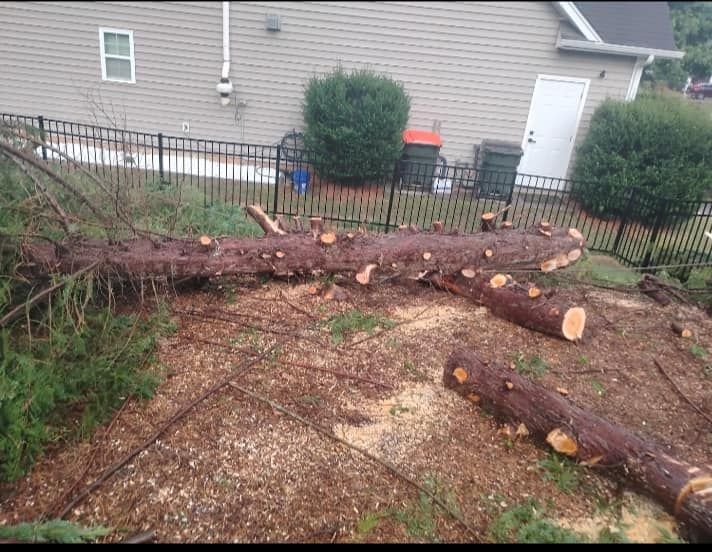 Our Tree Trimming service enhances the health and appearance of your trees, promoting growth and safety by expertly removing unwanted branches, improving aesthetics, and ensuring your landscape thrives beautifully. for All Tree Property Services in Charlotte, NC