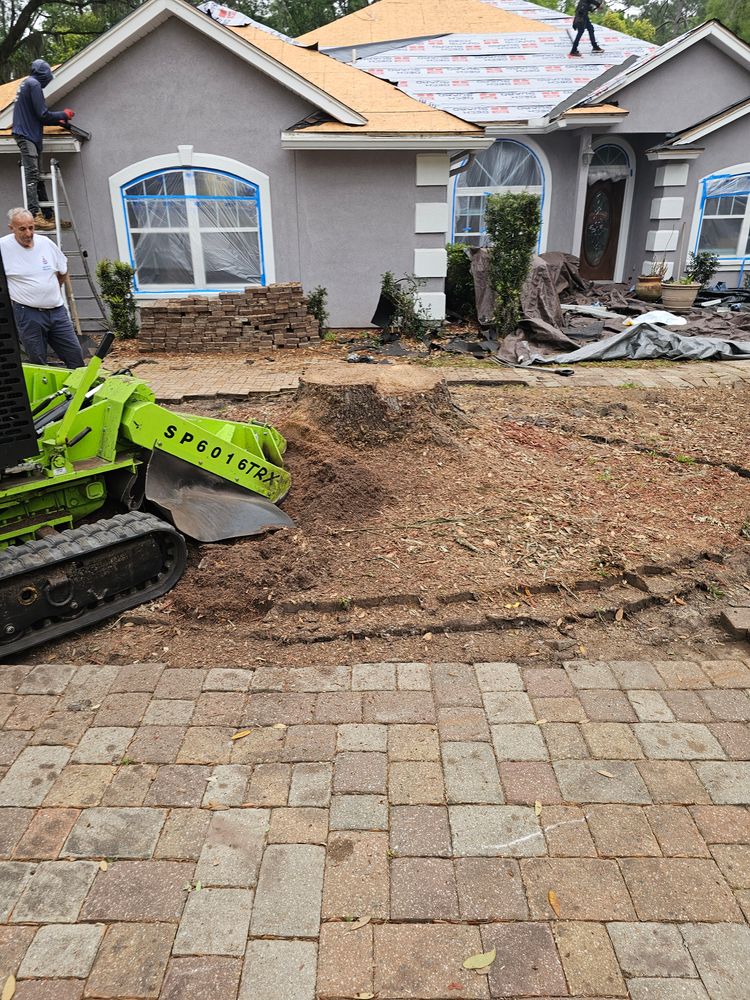 All Photos for Stumps done right LLC in Middleburg, FL