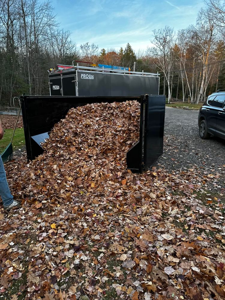 Junk Removal for White Mountain Dumpster in Ossipee, NH