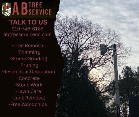 All Photos for AB Tree Service in Raleigh, NC