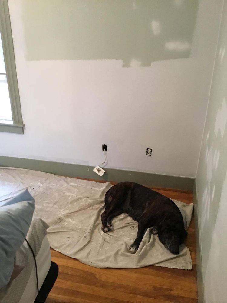 All Photos for L & G Painting in Barnstable, MA