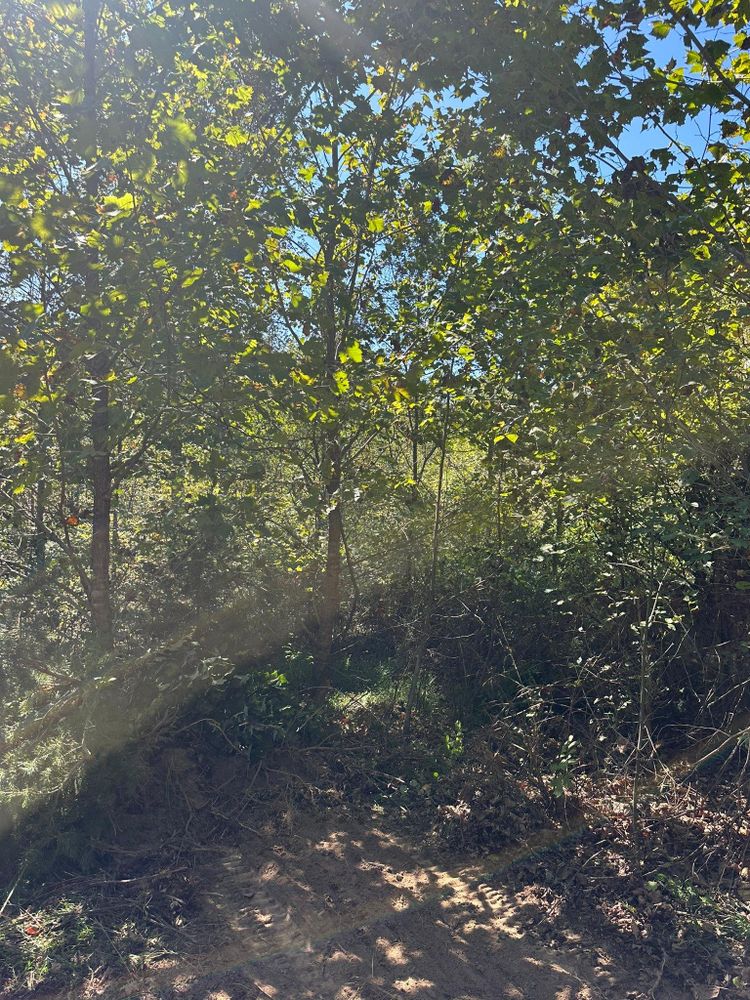 All Photos for Excavation Innovations in Rogersville, TN