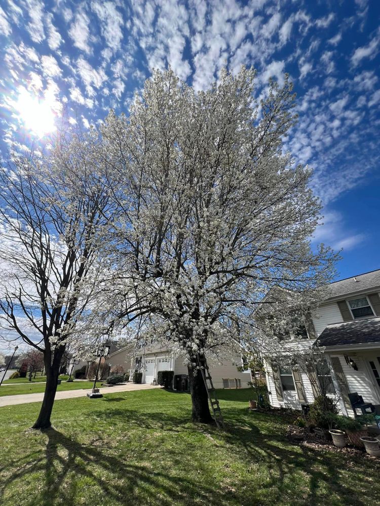 Landscaping for Woolf Outdoor Services in Mason, OH