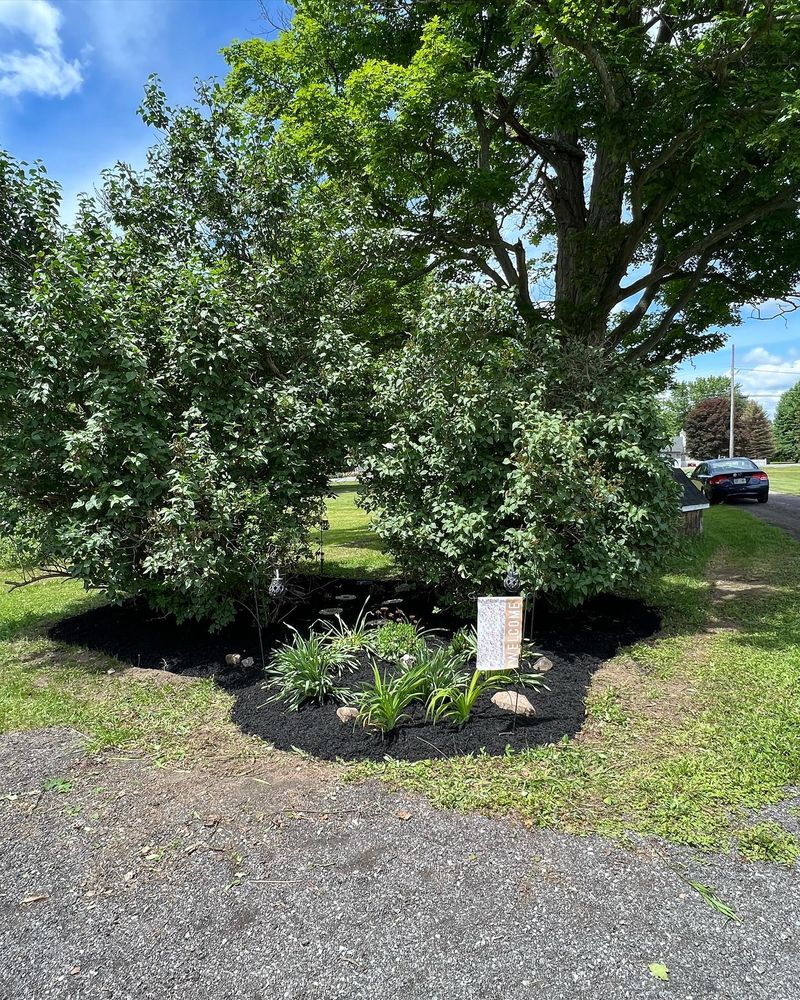 All Photos for Bielinski Bros Landscaping in Erie County, NY