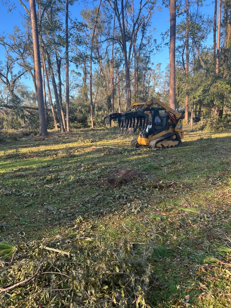 Tree Removal for Broadway & McMullen Construction in Purvis, MS
