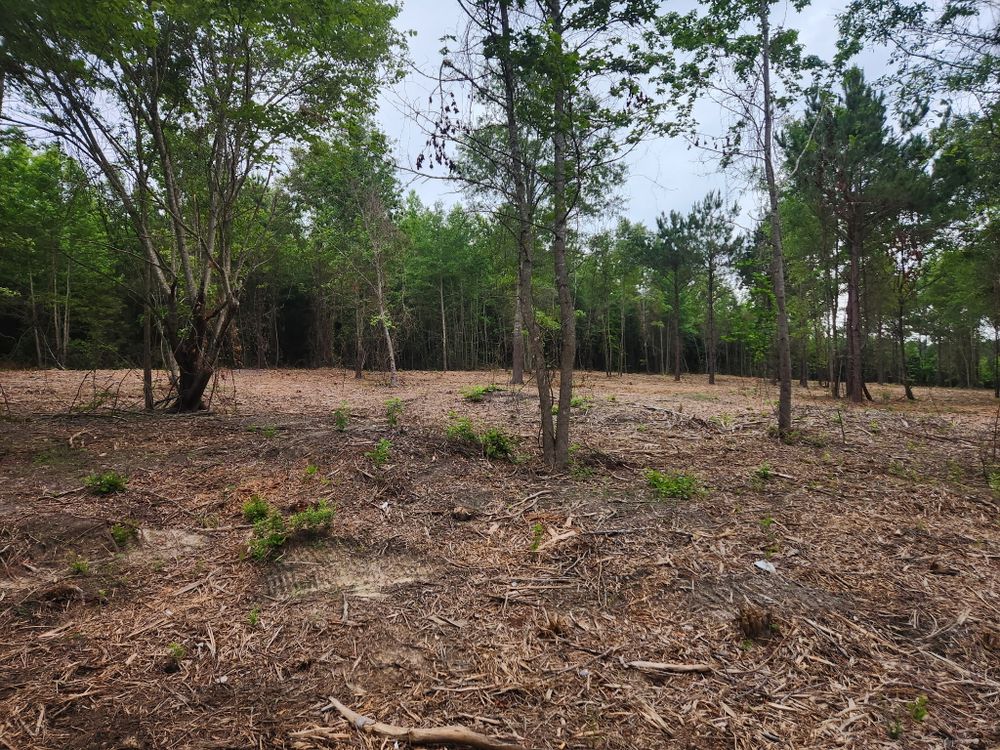All Photos for 903 Mulching in East Mountain, TX