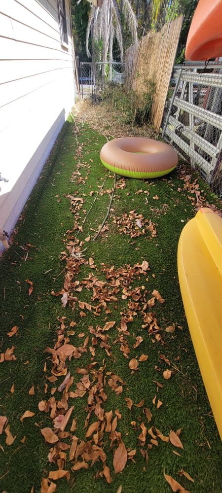 All Photos for Tezna Landscaping, Trees & Pavers in Valrico, FL