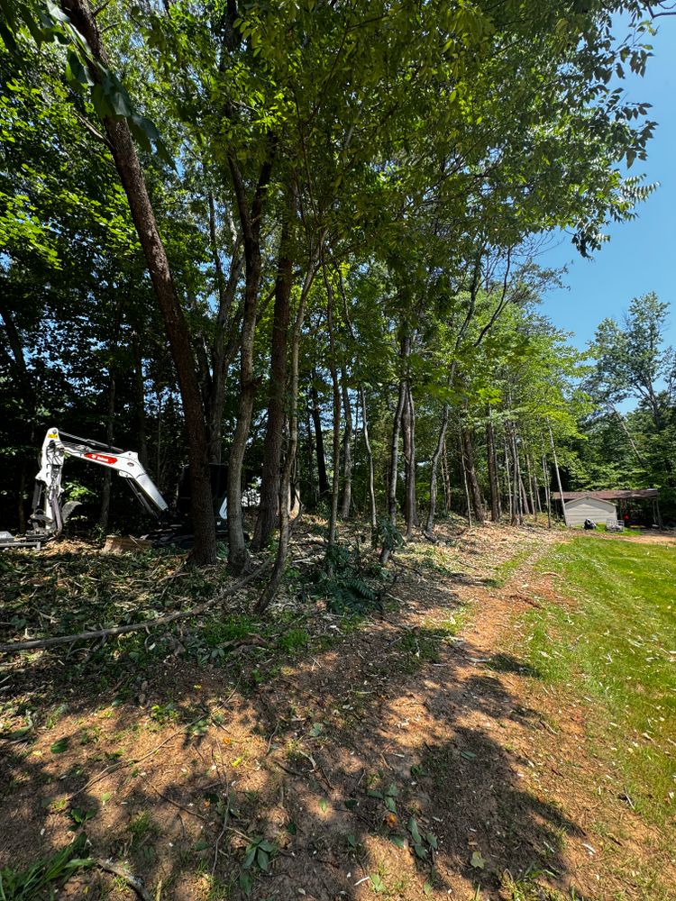 All Photos for Cone Grading and Land Clearing in Summerfield, NC