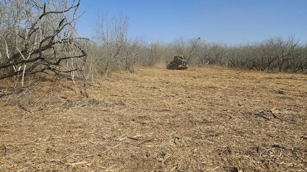 Land Clearing for Hernandez Land Clearing Services in Alice, TX