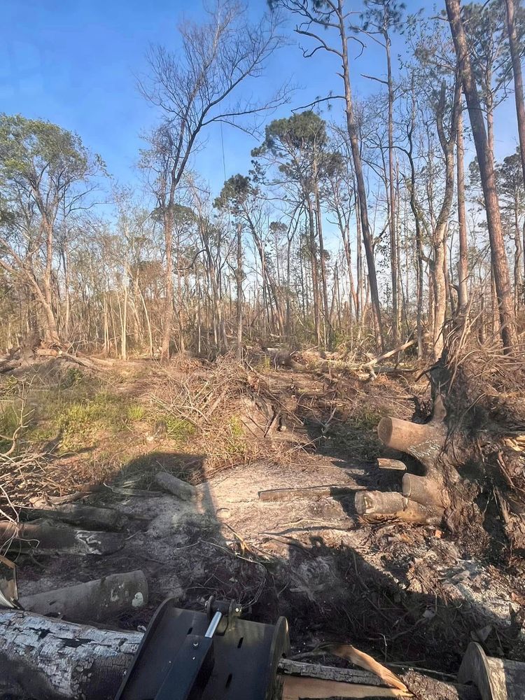 All Photos for Pinewood Land Management LLC in Nashville, GA