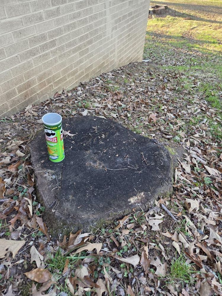 All Photos for Lucky’s Tree Removal and Landscape Services in Knoxville, TN