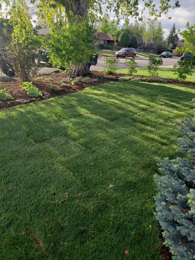 All Photos for JS Landscaping Colorado in Denver, CO