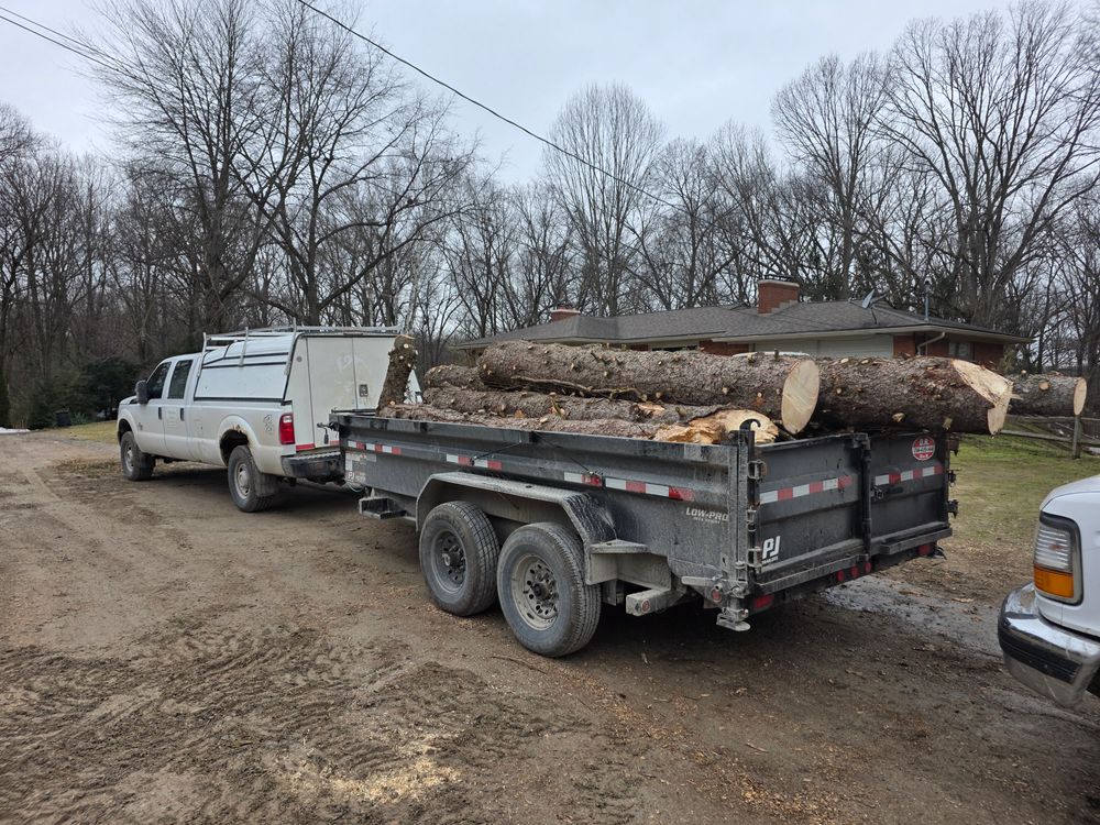 All Photos for D Hale Tree Service in Ann Arbor, MI