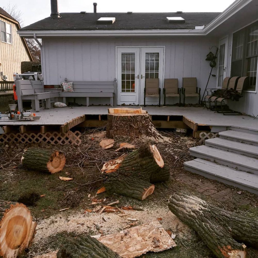 Tree Removal for Highborn Tree Service in Wheatfield, IN