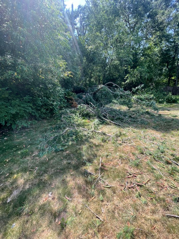 All Photos for Lucas Property Maintenance LLC in New Bedford, MA