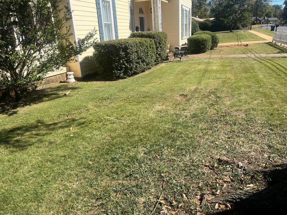 All Photos for Xtreme Landscaping & Lawn Care in Lincoln, AL