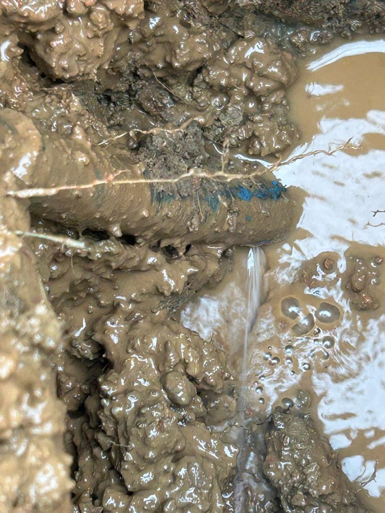 All Photos for Pro Plumbing and Home Improvements in Goodlettsville, TN