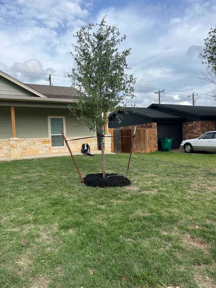 All Photos for Piña’s Lawncare in Limestone County, TX