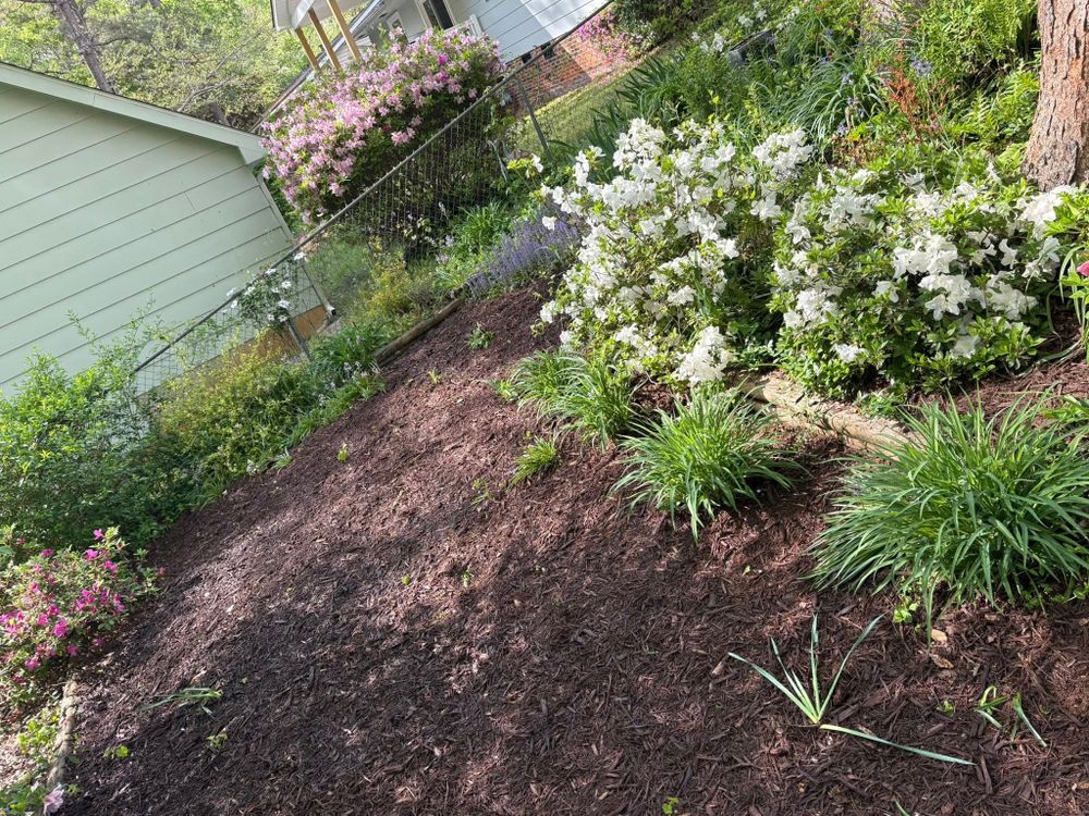 All Photos for Henry’s Lawn Care & Landscaping, LLC in Wendell, NC