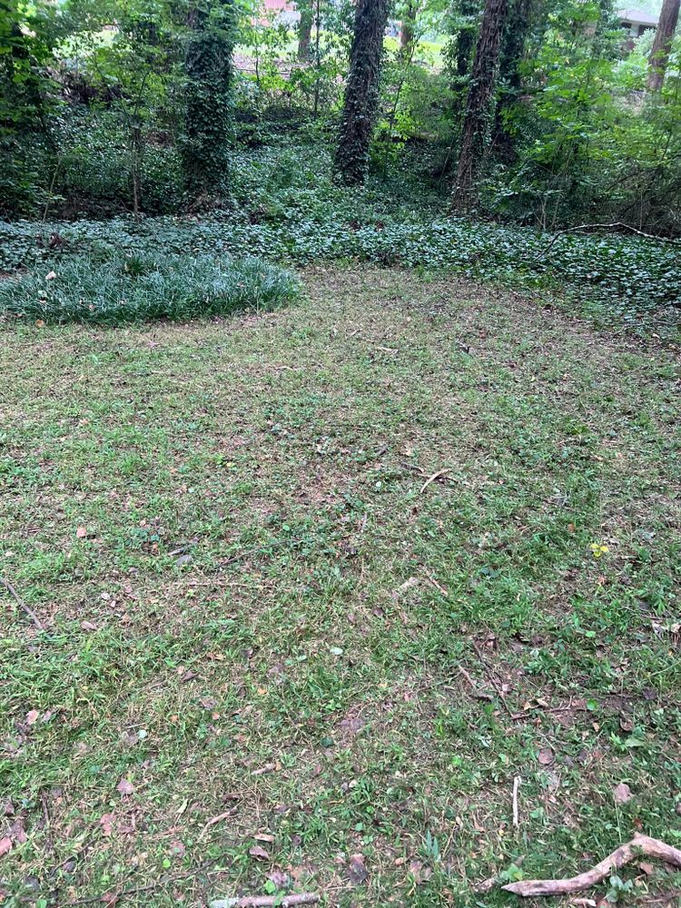 Landscaping for Williams Brothers Landscaping & Construction in Atlanta, GA