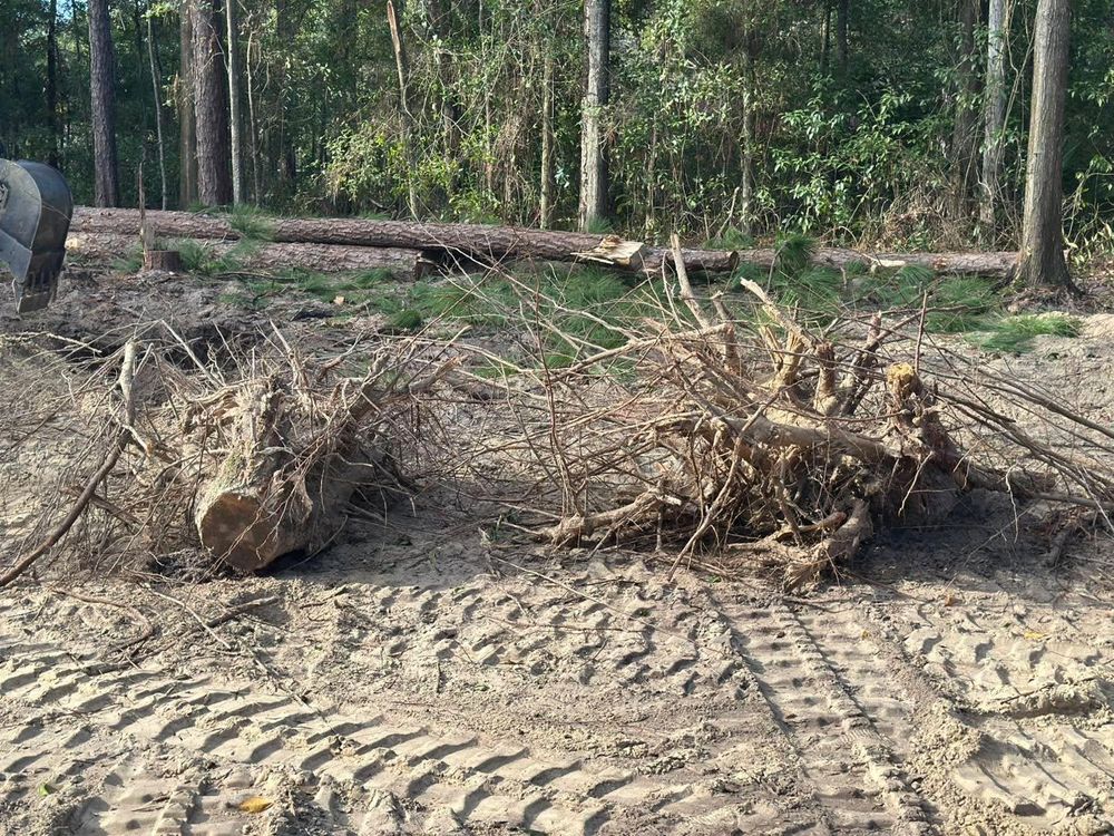 All Photos for K & A Landscaping, Inc. in Jacksonville, FL