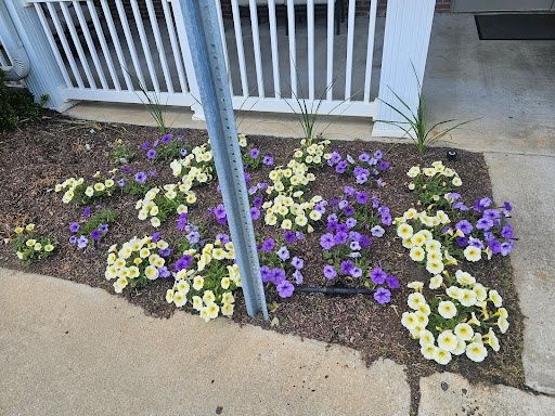All Photos for Trinity Landscapes  in Lumberton, NC