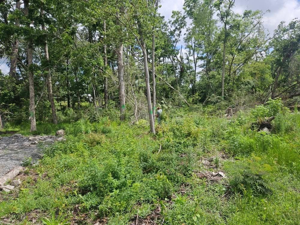 All Photos for Southern Shade Property Service in Ray City, GA