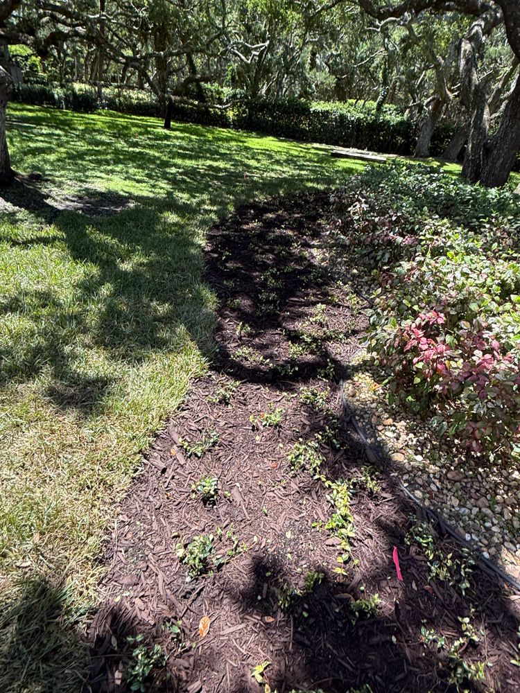 All Photos for Vanic's Landscaping in South Daytona, FL