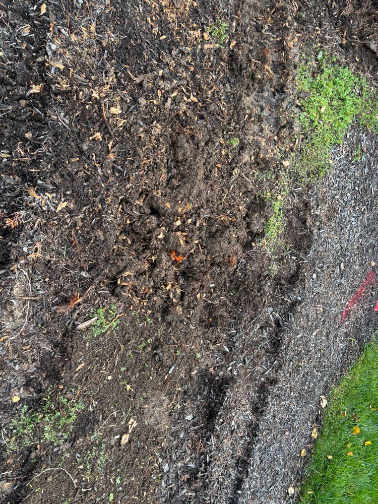 All Photos for Conrad's Stump Removal in Columbus, IN