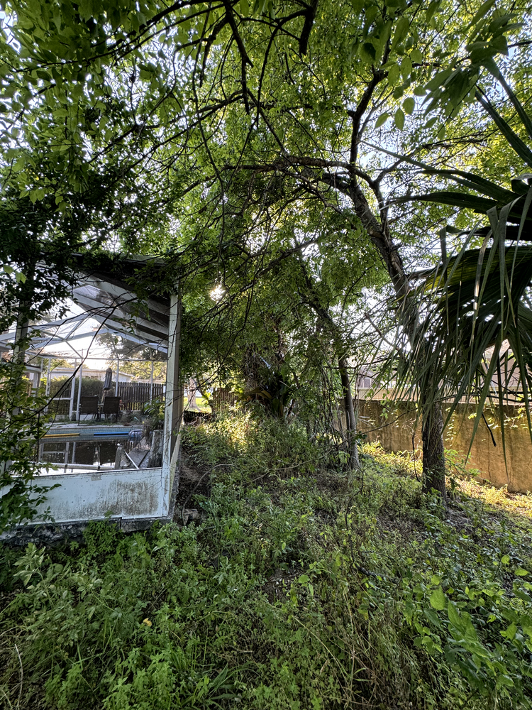 All Photos for Elevation Tree Service in Holiday, FL