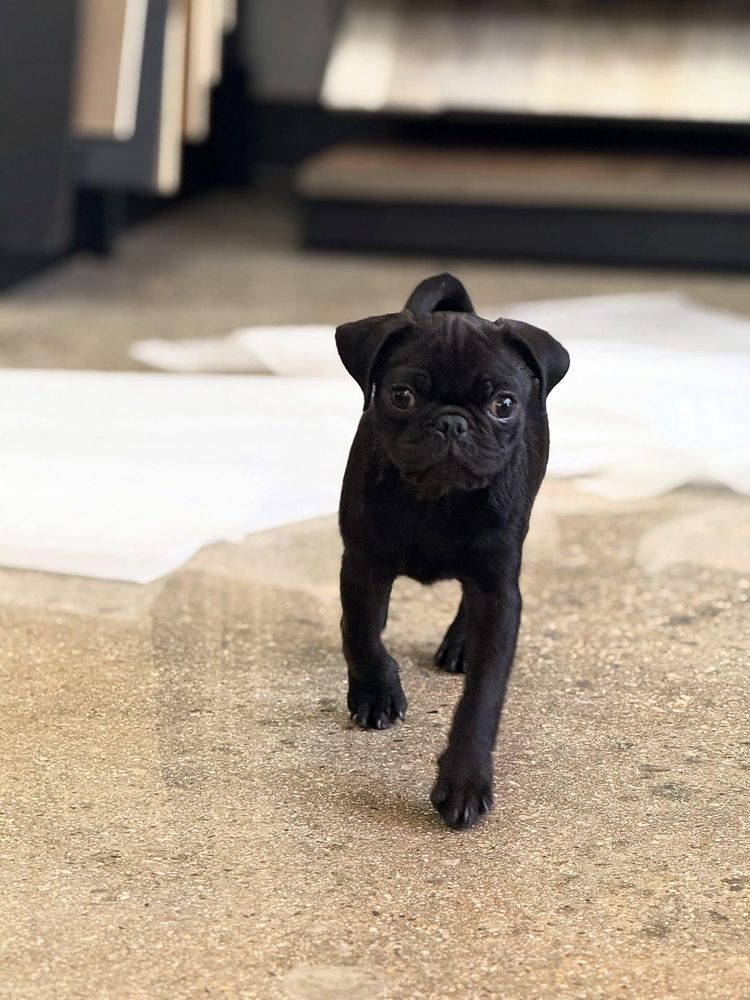 All Photos for Wall To Wall Flooring in Fort Worth, TX