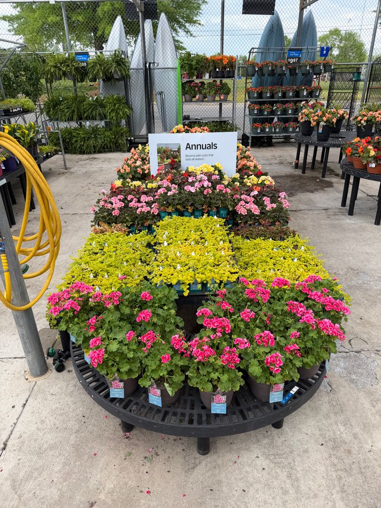 Landscaping for Starnes Hardscapes & Property Management LLC in Dunlap, TN