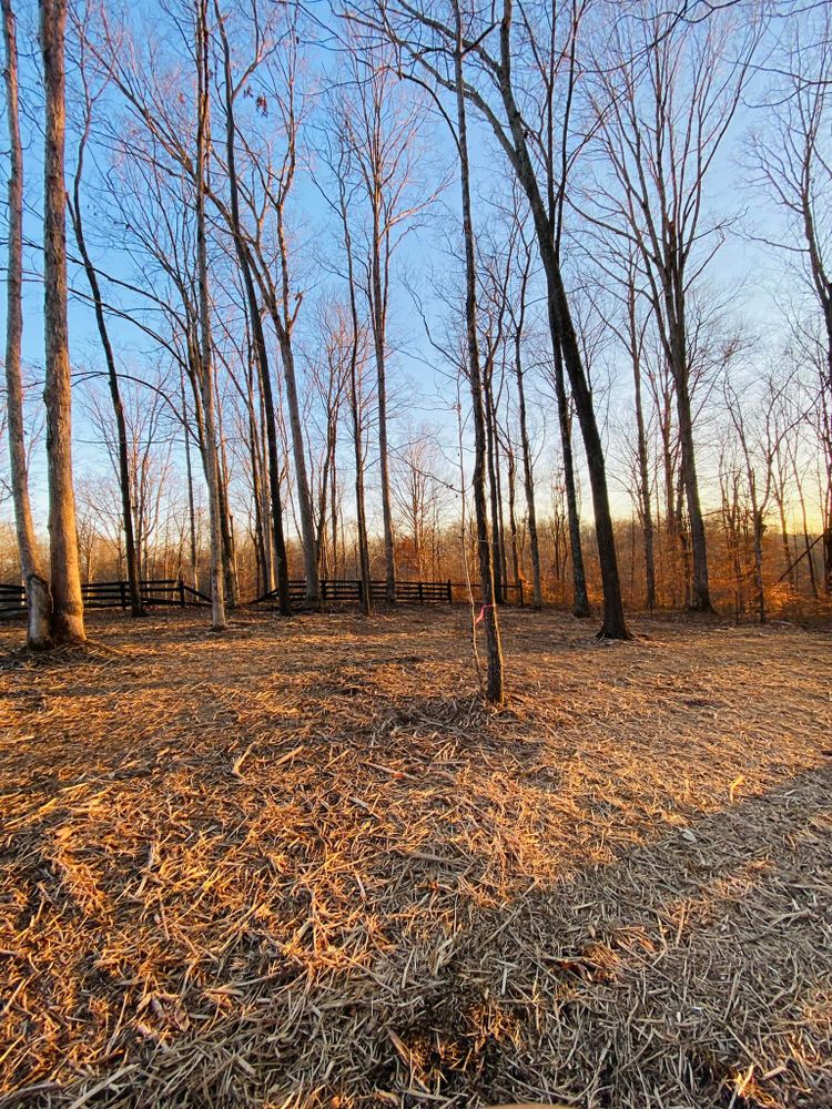 All Photos for Green Land Management in Mount Pleasant, TN