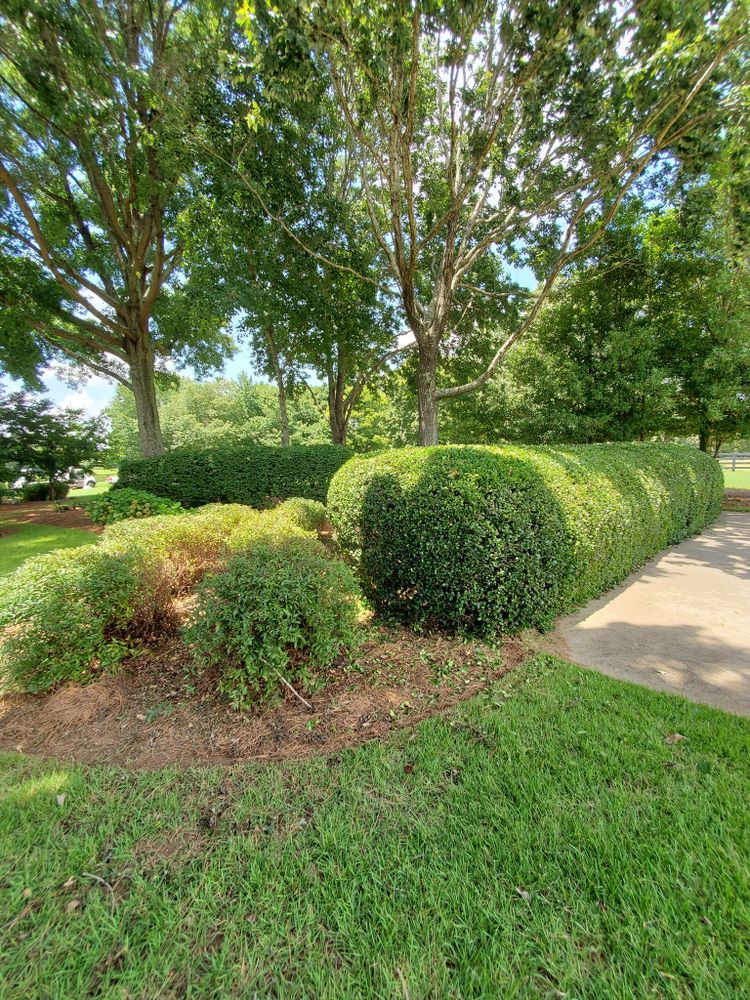 Mulch Installation for Zambrana Landscaping in Cobb County, GA