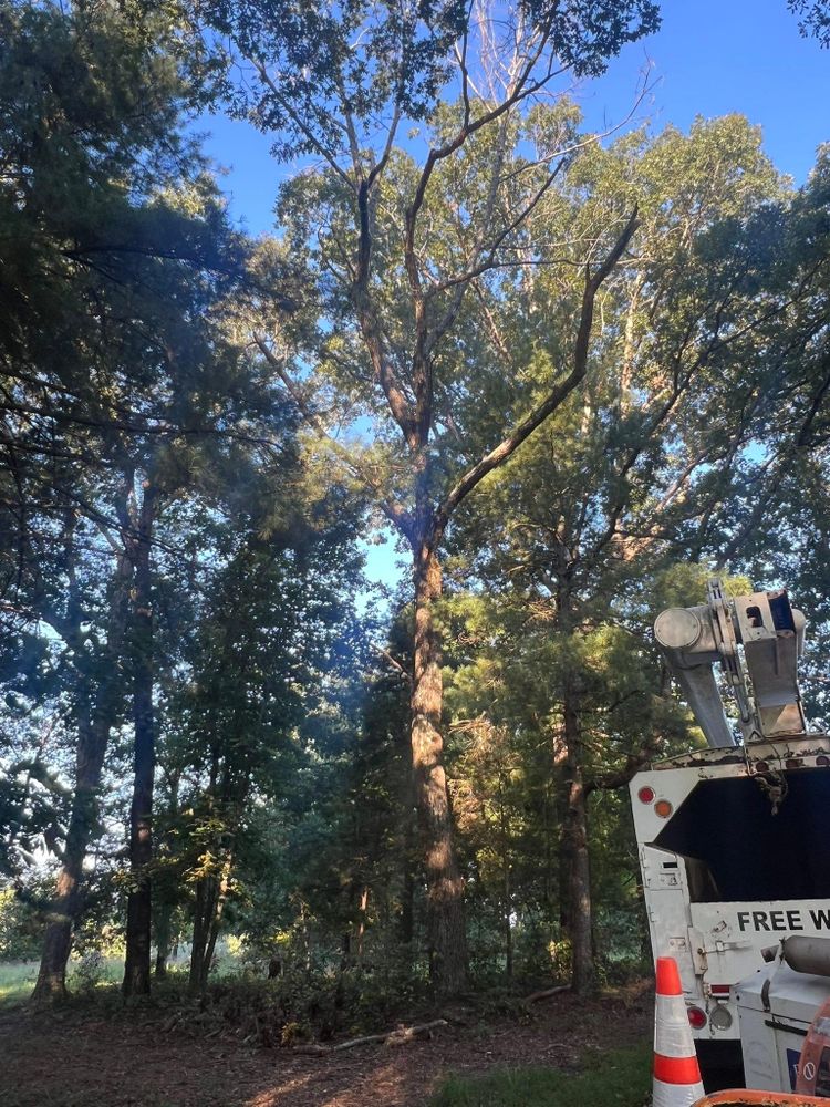 All Photos for Brooks Tree Service in Casar, NC